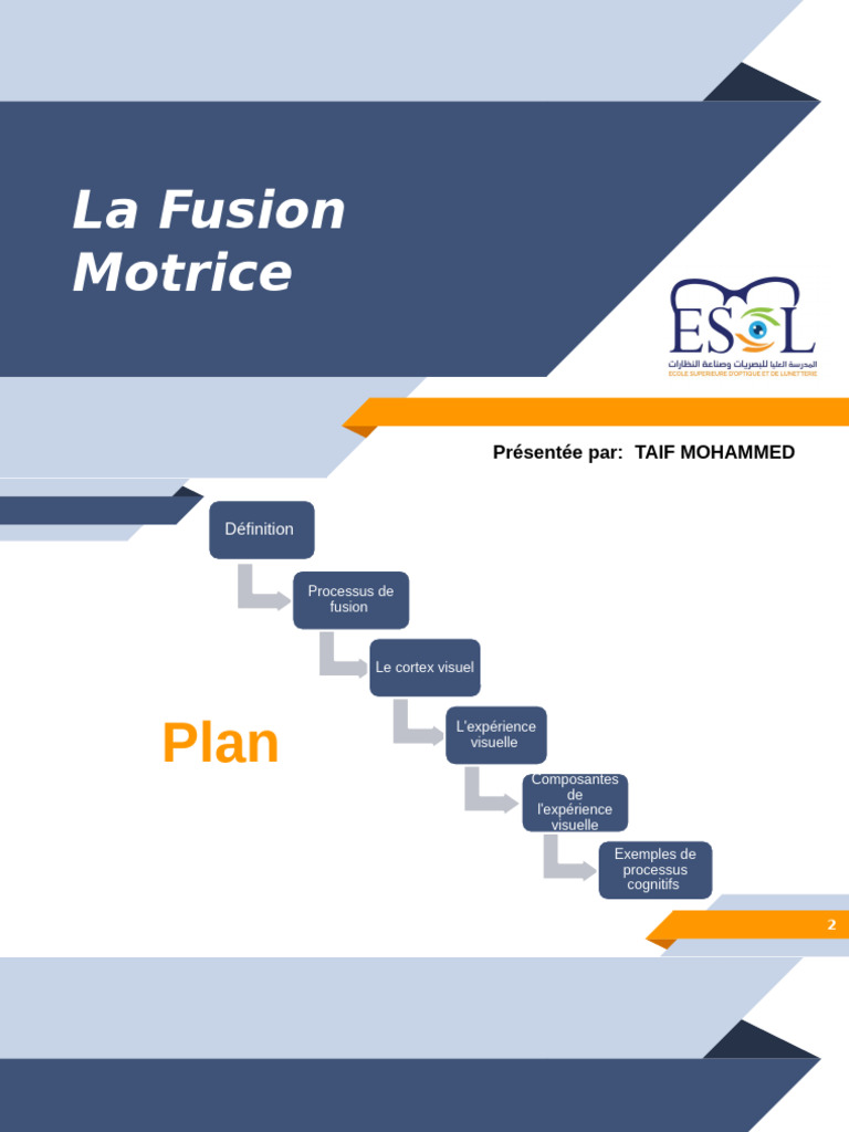 Fusion motrice et cortex visuel expliqué | PDF | Cortex visuel | Cortex ...