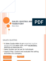 7343895 Sales Quotas and Territory