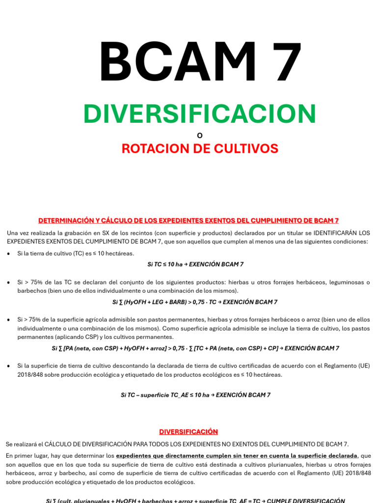 Exenciones y Cálculo de BCAM 7 | PDF | Agricultura | Industria de alimentos