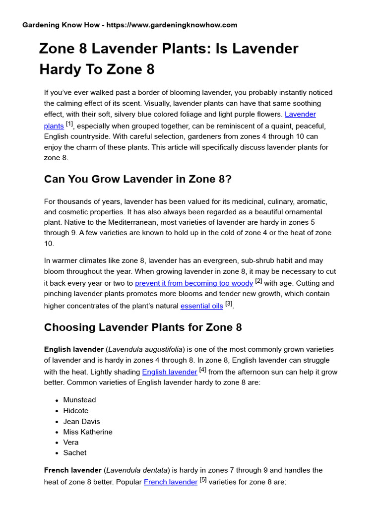 Gardening Know How Can You Grow Lavender in Zone 8 - Choosing Lavender ...