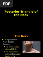 Suboccipital Triangle Anatomy Overview | PDF | Neck | Vertebra