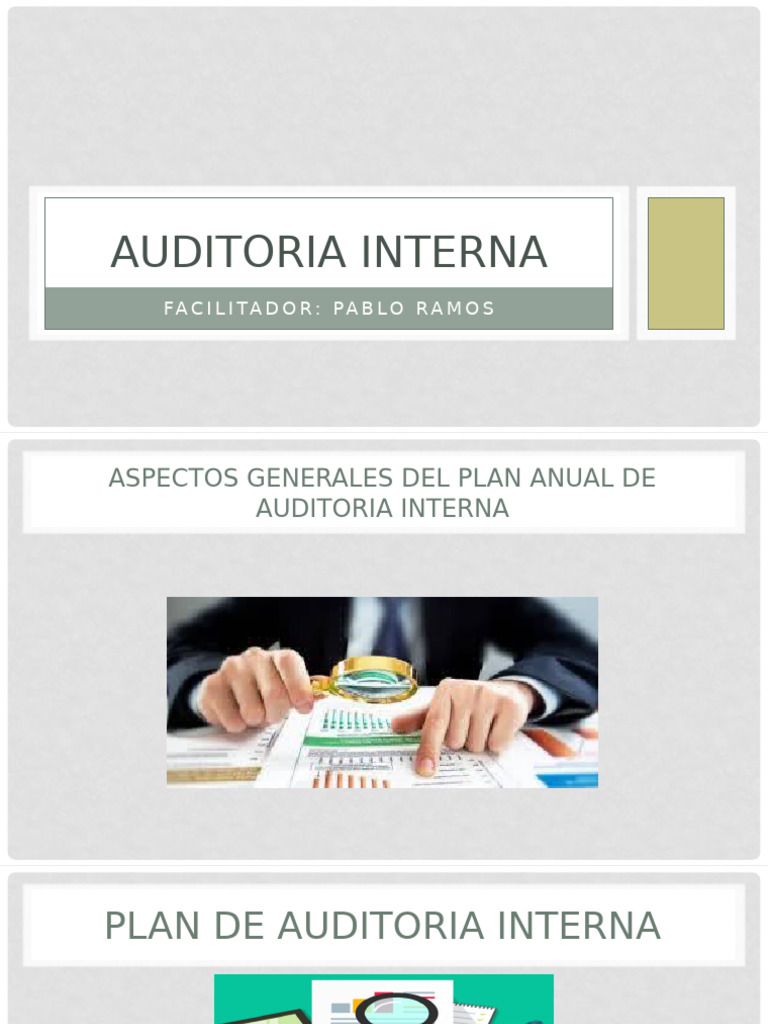 Plan Anual de Auditoría Interna 2023 | PDF | Auditoría | Planificación
