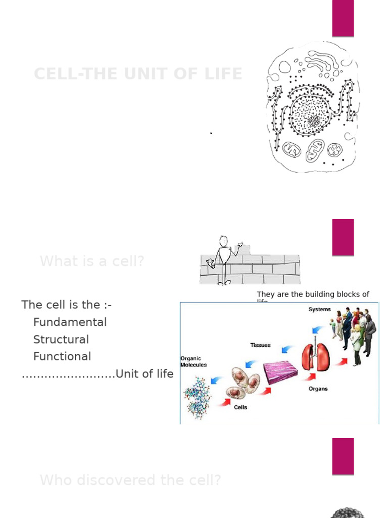Understanding Cell Structure and Function | PDF | Endoplasmic Reticulum ...