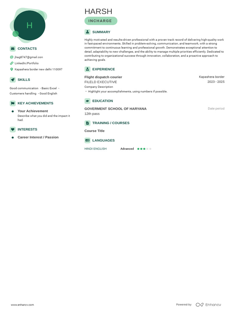 Professional Summary and Skills Overview | PDF