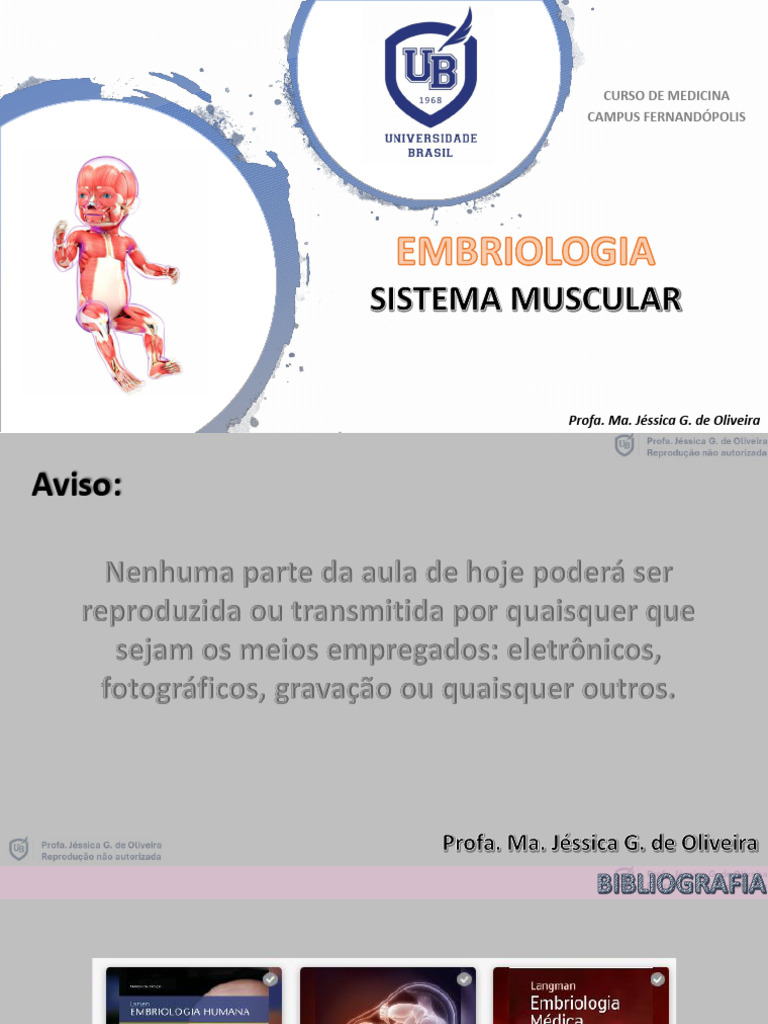 Desenvolvimento dos Músculos Embrionários | PDF | Músculo | Morfologia ...