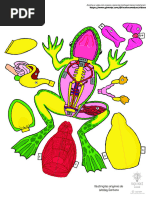 Ciclo de Vida e Anatomia do Sapo | PDF
