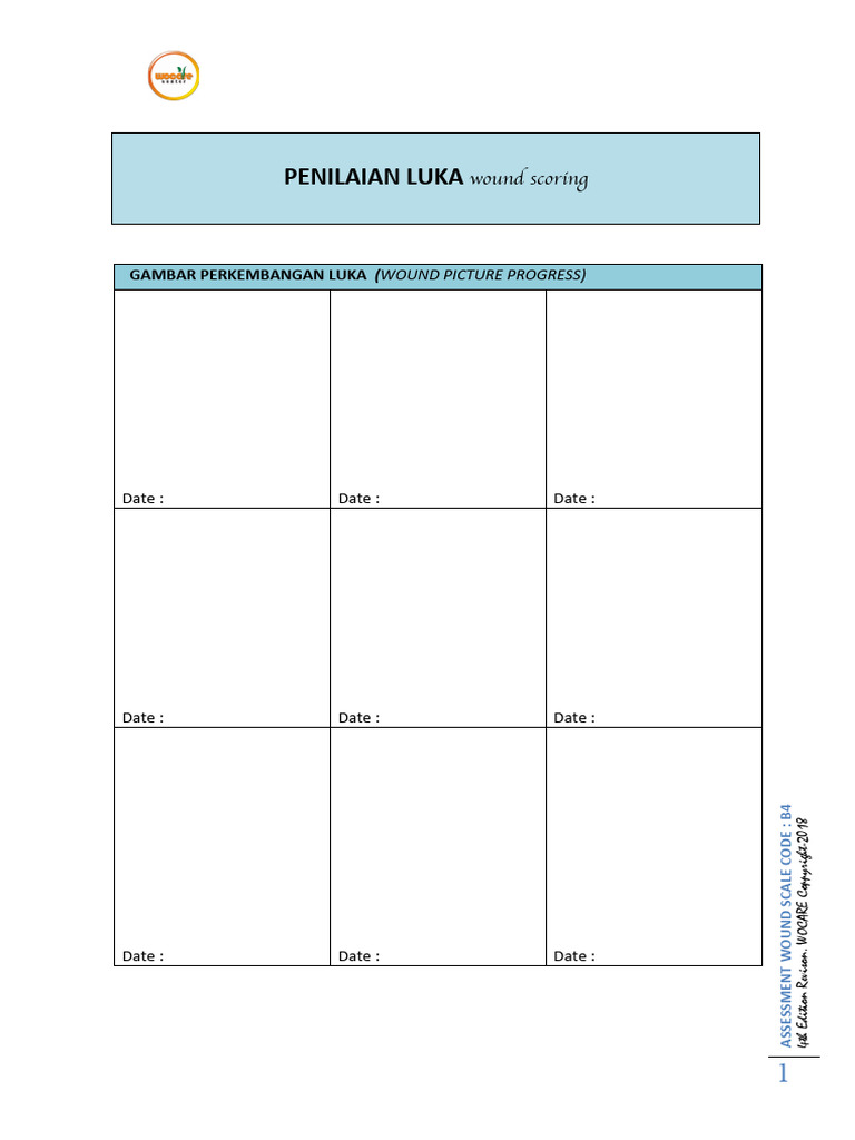 d.1. Penilaian Luka - Winners Scale | PDF