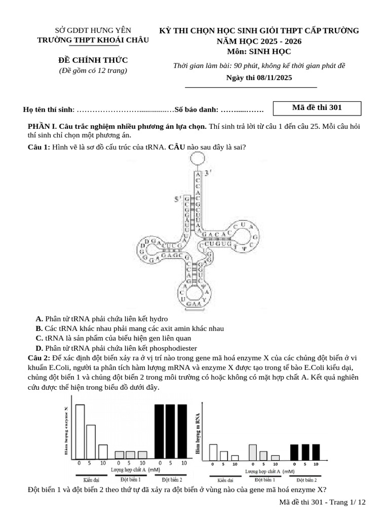Made 301-Khoái Châu | PDF