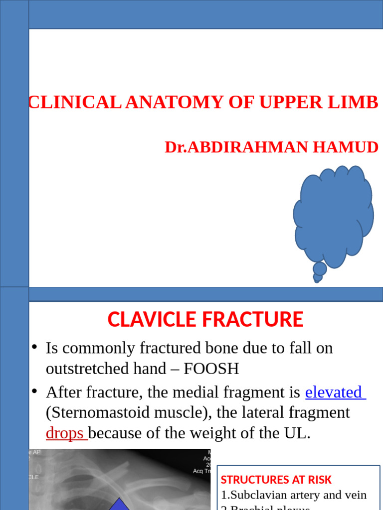 7.clinical Anatomy of Upper Limb | PDF | Hand | Arm