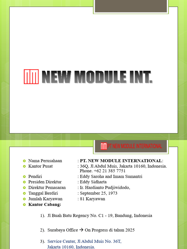 PT New Module International Overview | PDF | Cement | Concrete