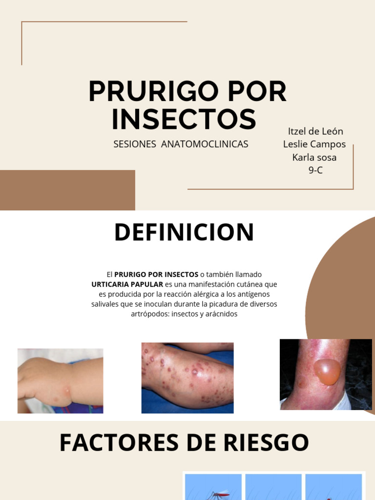 Prurigo por insectos | PDF | Alergia | Especialidades Medicas