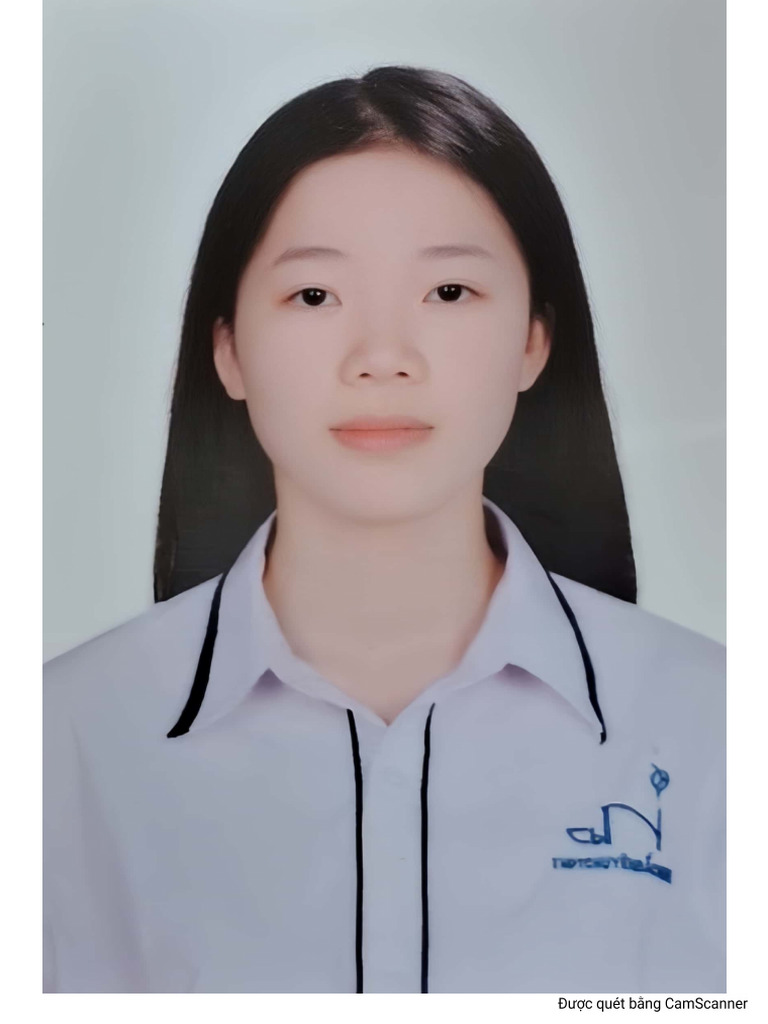 TL | PDF