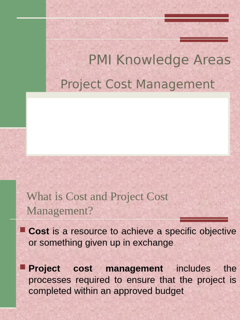 Project Cost Management Essentials | PDF