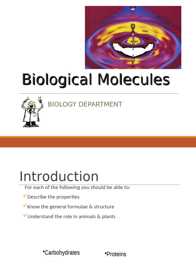 Overview of Biological Molecules | PDF | Nucleotides | Polysaccharide