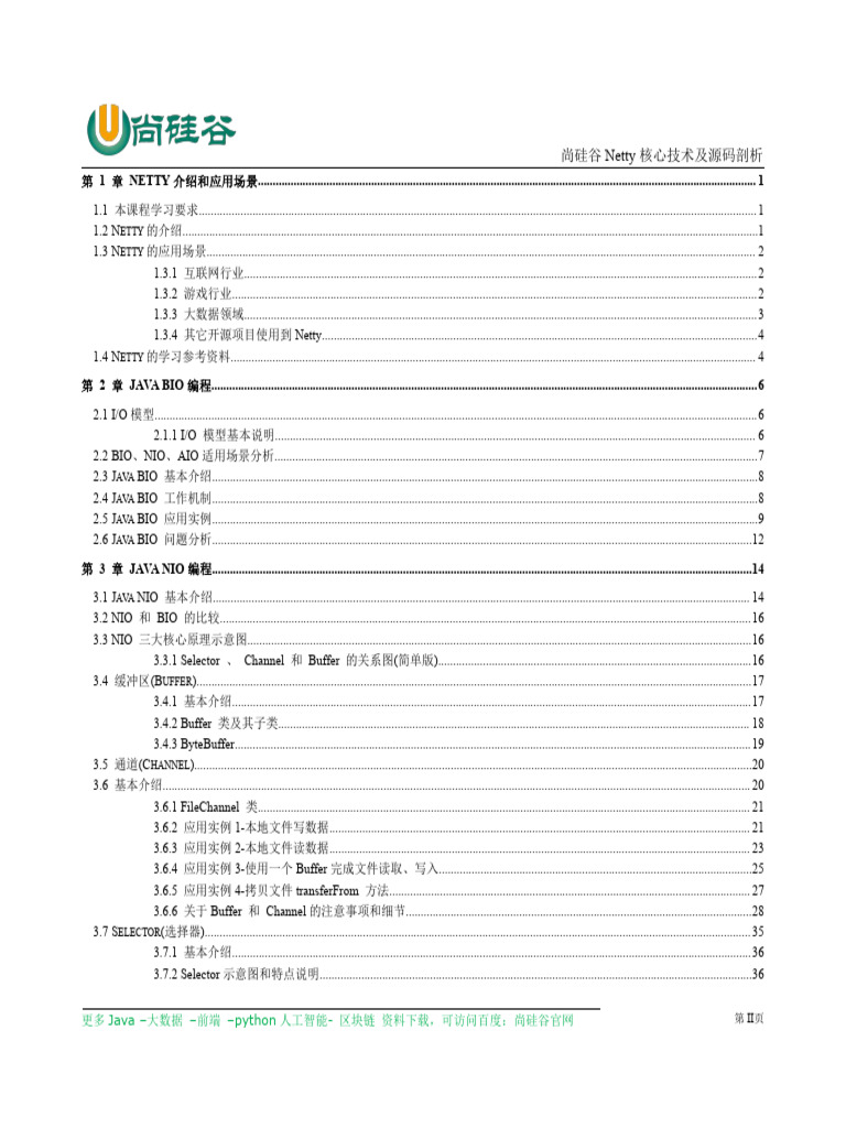 Netty_尚硅谷| PDF
