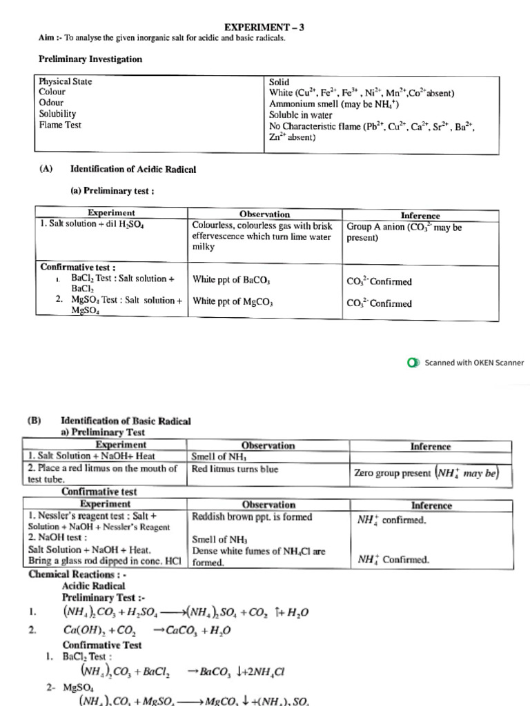 Salt Analysis Format | PDF
