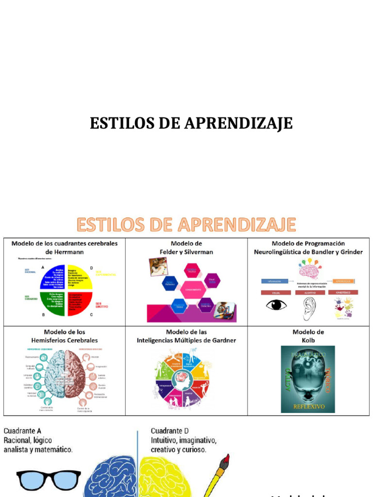 Estilos de Aprendizaje | PDF