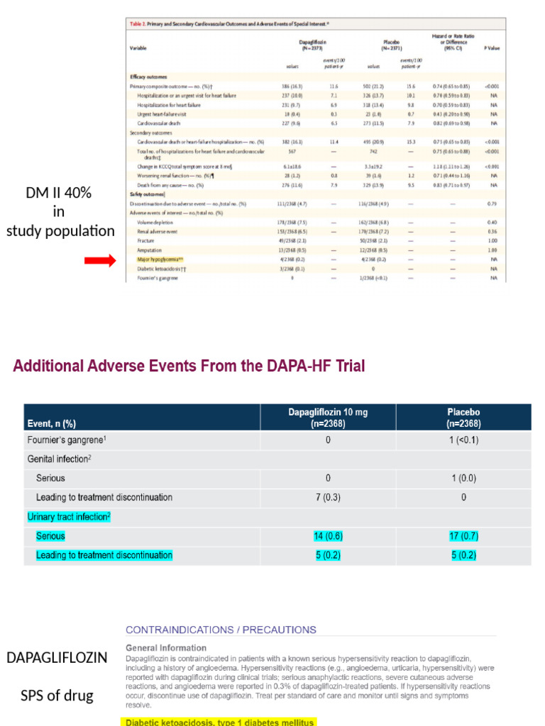 DAPA Additional Slides | PDF