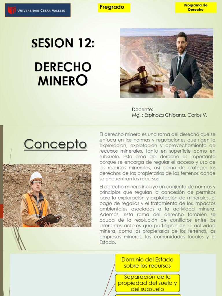 Derecho Minero: Normas y Principios Esenciales | PDF | Minería | Propiedad