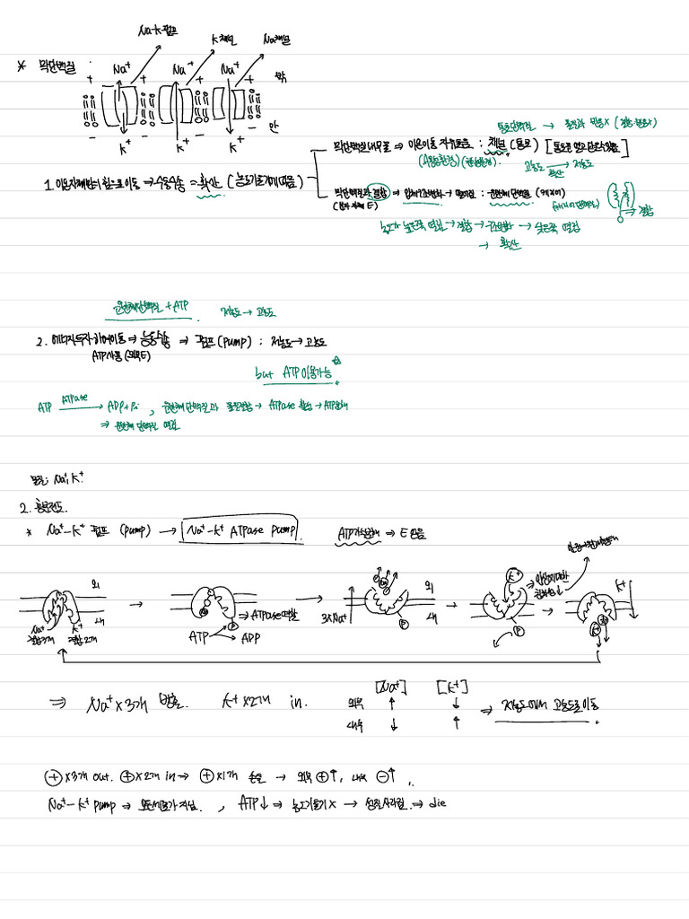 1232 | PDF