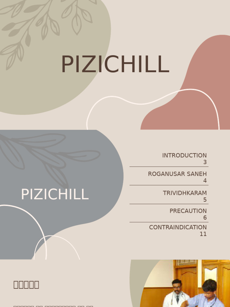 PIZICHILL | PDF