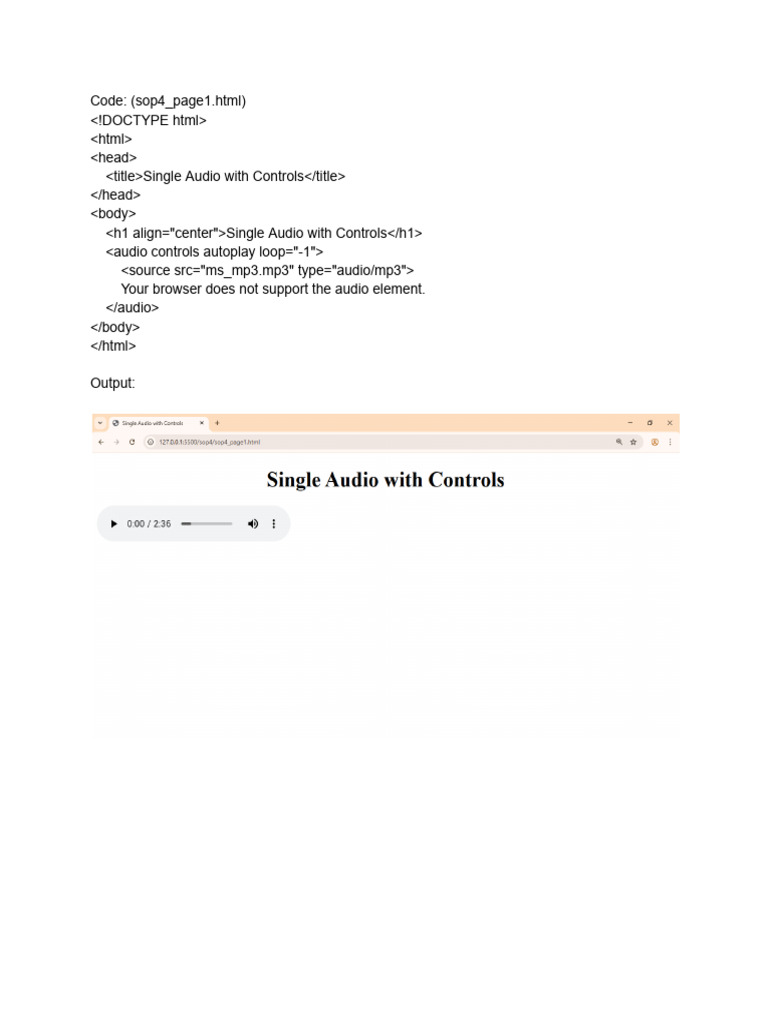 Audio Player with Controls Guide | PDF