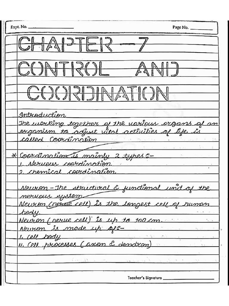 Control and Coordination Notes | PDF