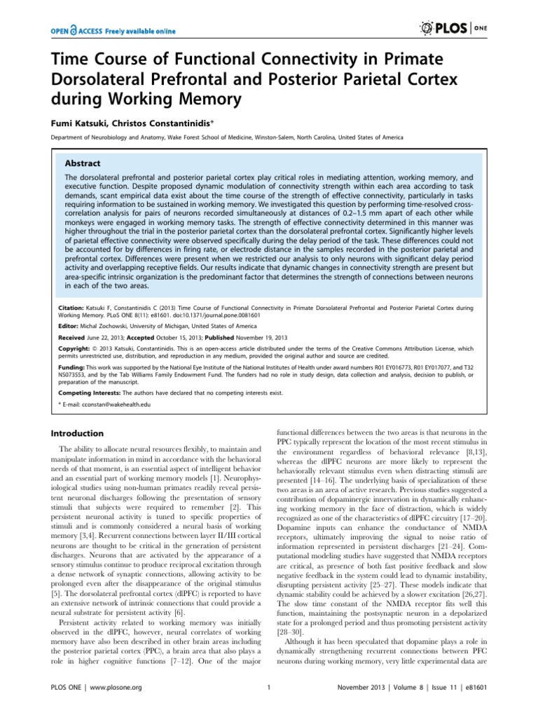 Primate Cortex Connectivity in Working Memory | PDF | Working Memory ...