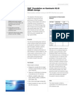 Kaminario - SAS Foundation On Kaminario K2-D DRAM Storage