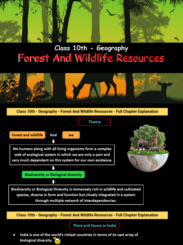 Forest and Wildlife Resources in India | PDF | Biodiversity ...