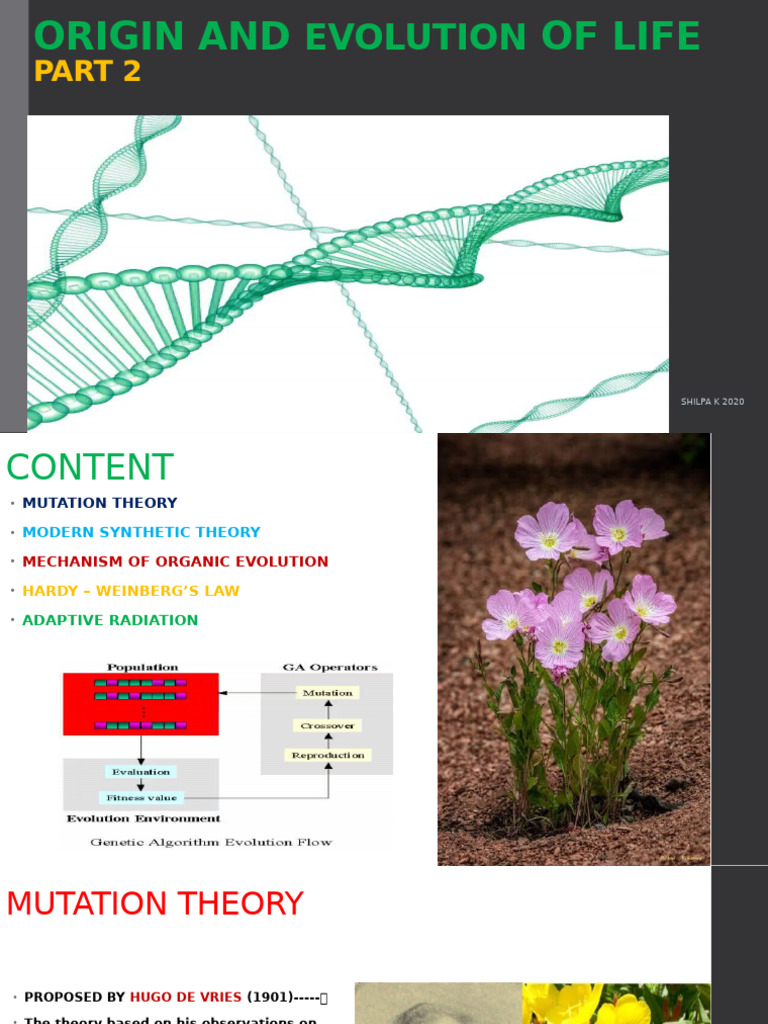 Evolutionary Theories and Mechanisms | PDF | Evolution | Natural Selection