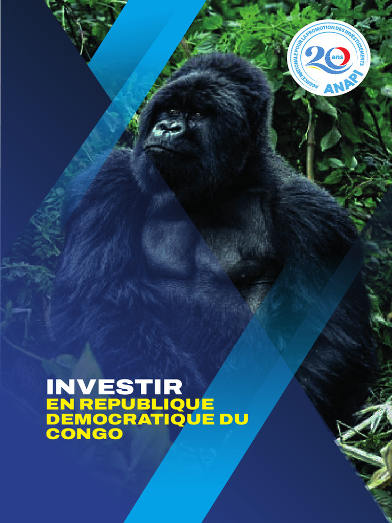 Opportunités d'investissement en RDC | PDF | République démocratique du ...