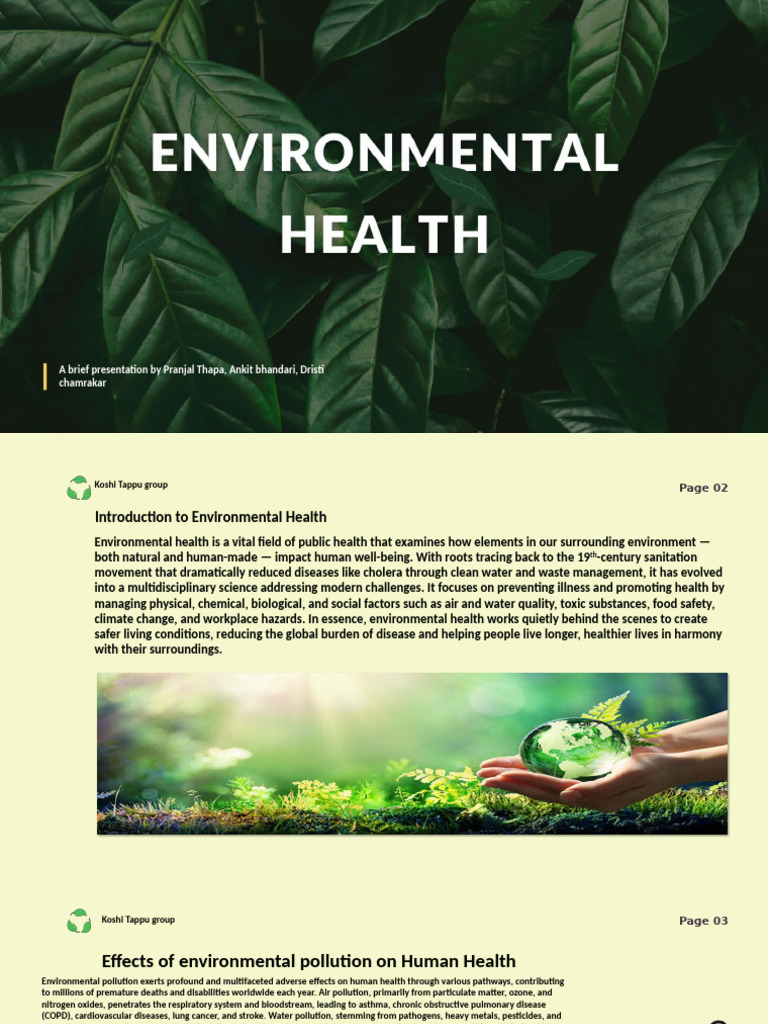 Impact of Environmental Pollution on Health | PDF | Air Pollution ...