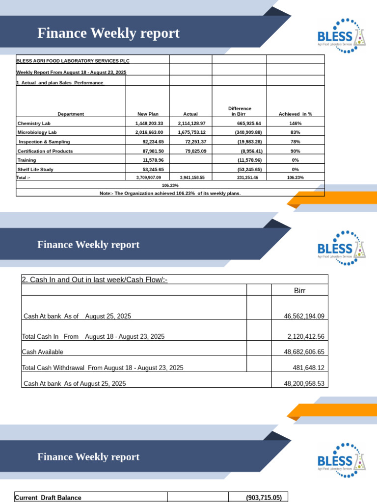 Weekly Financial Report: August 2025 | PDF | Cash | Exchange Rate