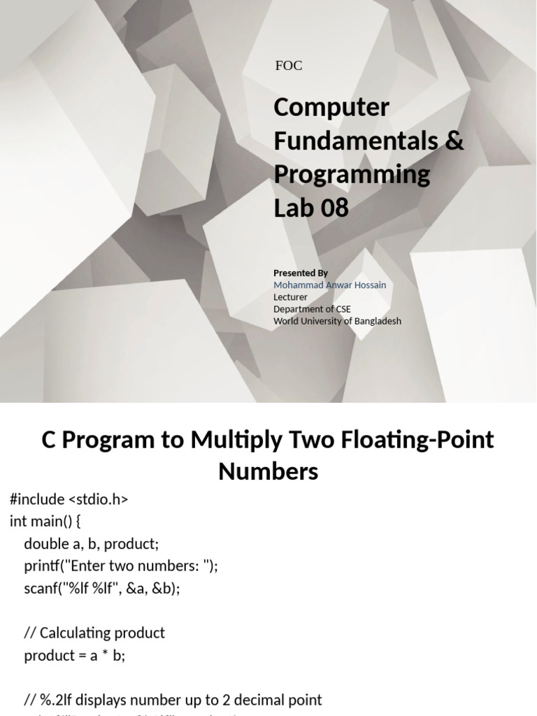 Computer Fundamentals Programming Lab 08 | PDF