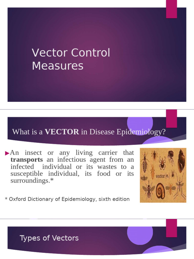 Vector Control Measures | PDF | Mosquito | Ddt