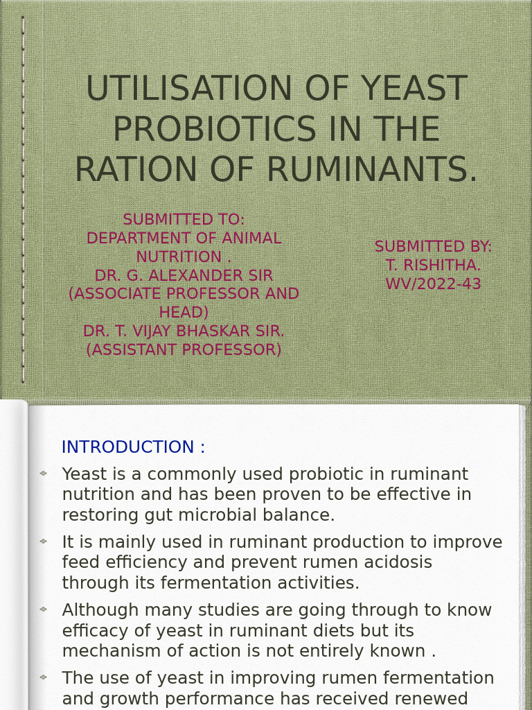 Yeast Probiotics in Ruminant Nutrition | PDF | Fat | Ruminant