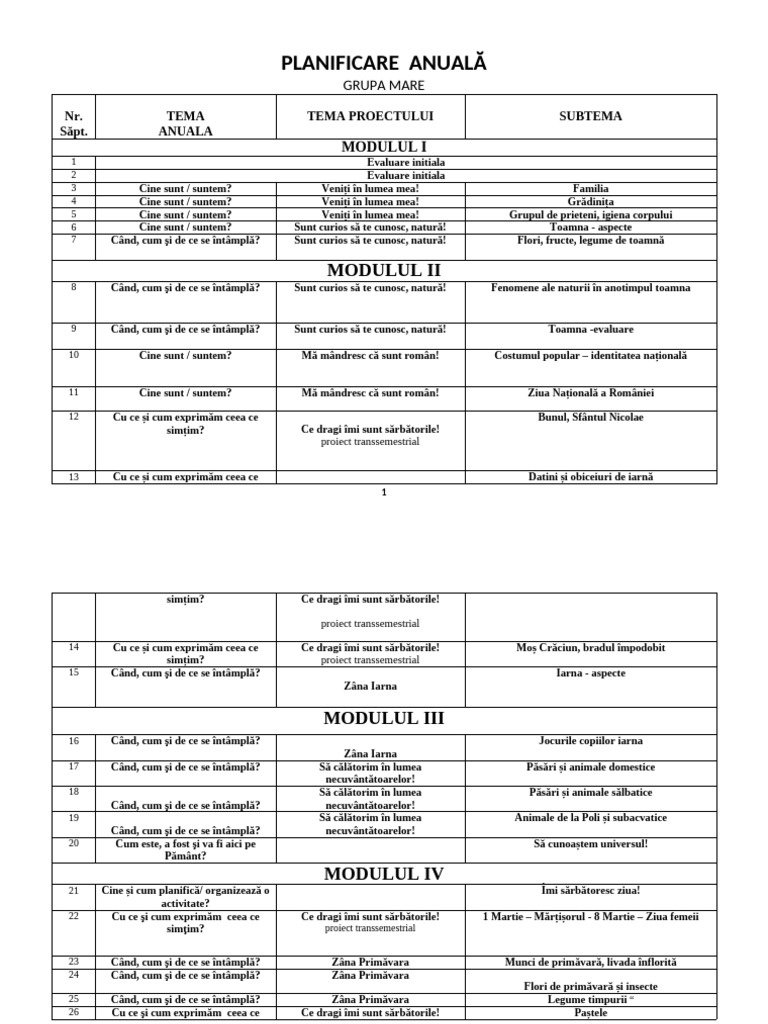 Planificare Grupa Mare Module | PDF