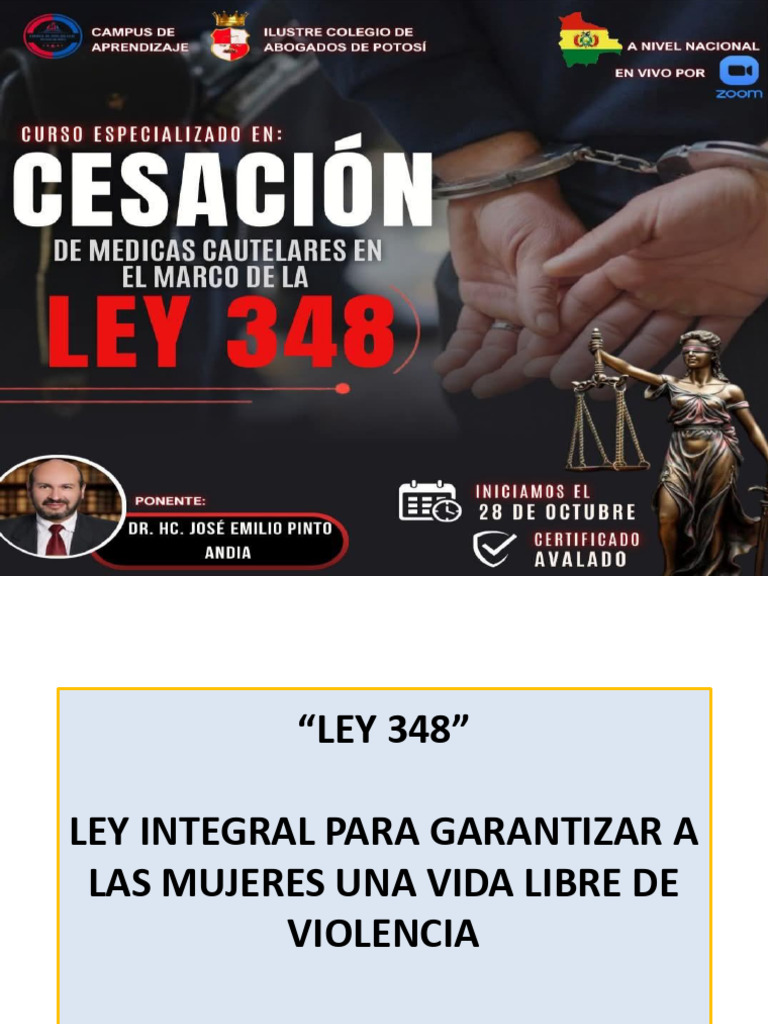 1. LEY 348 | PDF | Violencia | La violencia contra las mujeres