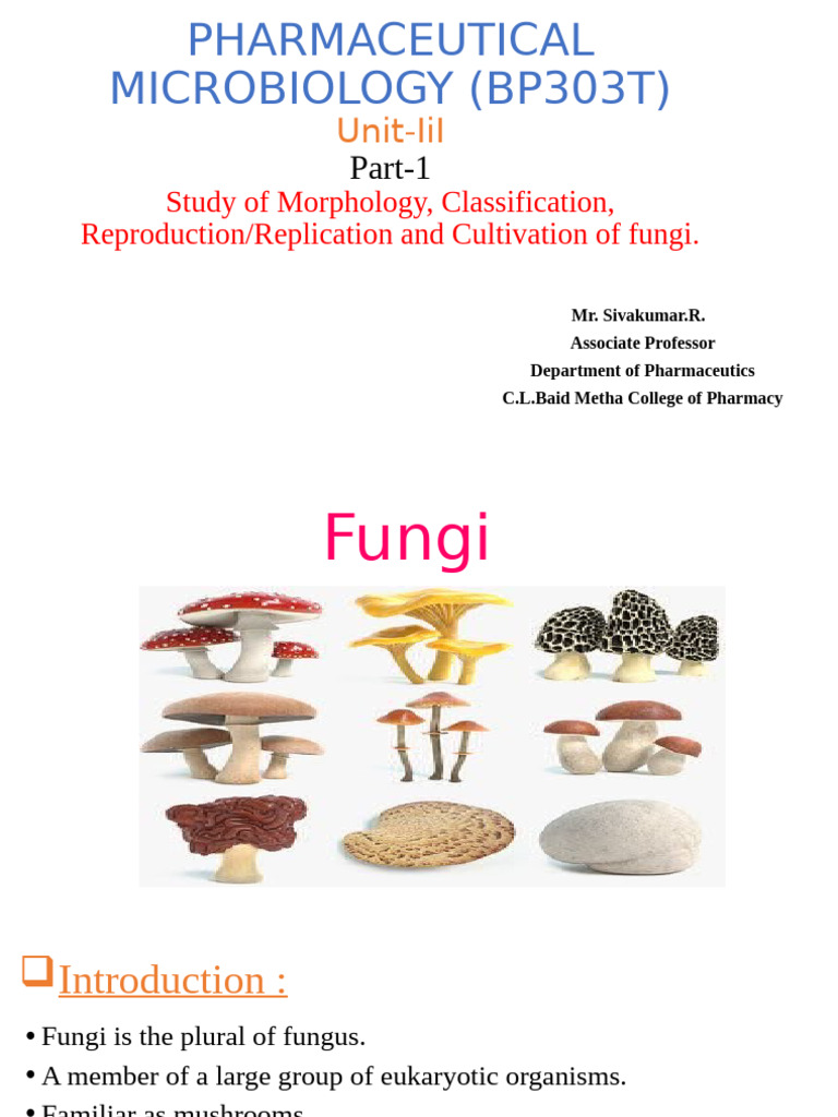 Wa0001. | PDF | Fungus | Sexual Reproduction