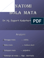 01b - Anatomi Fisiologi Mata