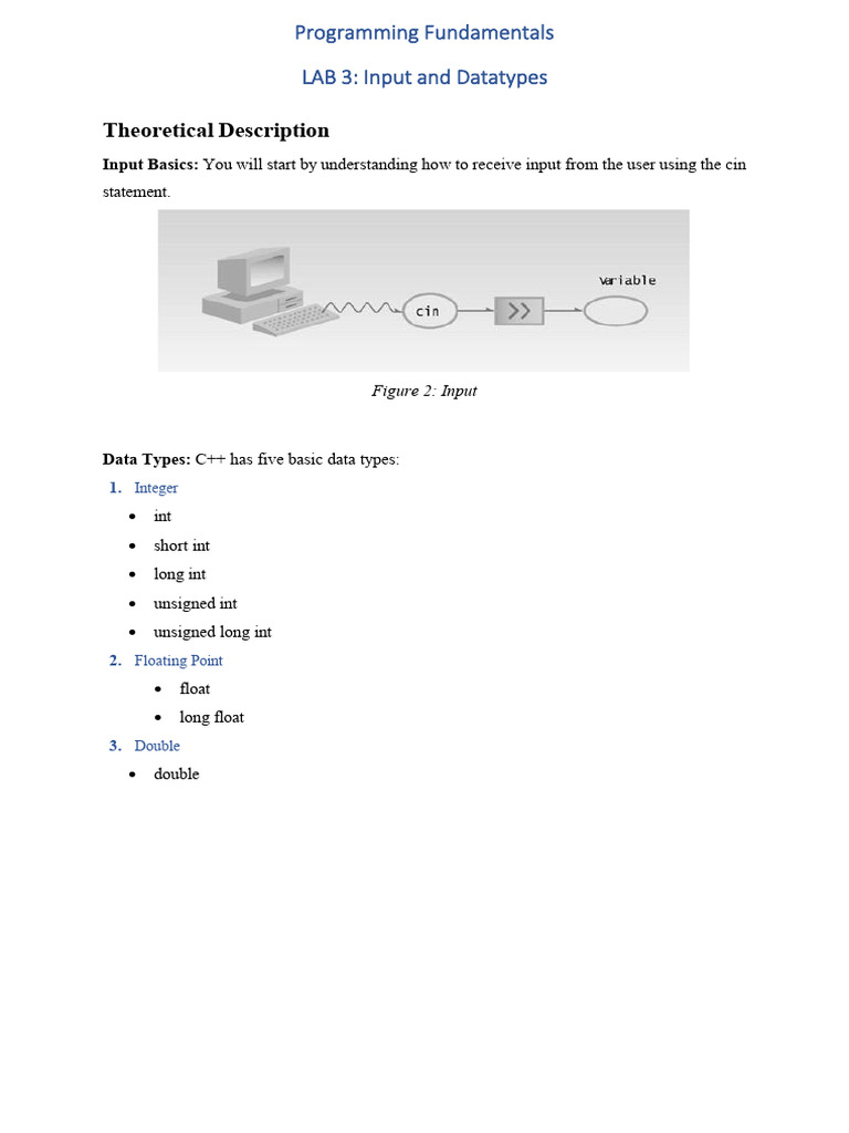 C++ Input and Data Types Lab Guide | PDF