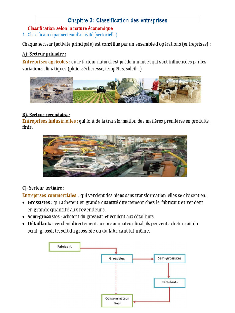 Classification des entreprises par secteur et taille | PDF | Business ...