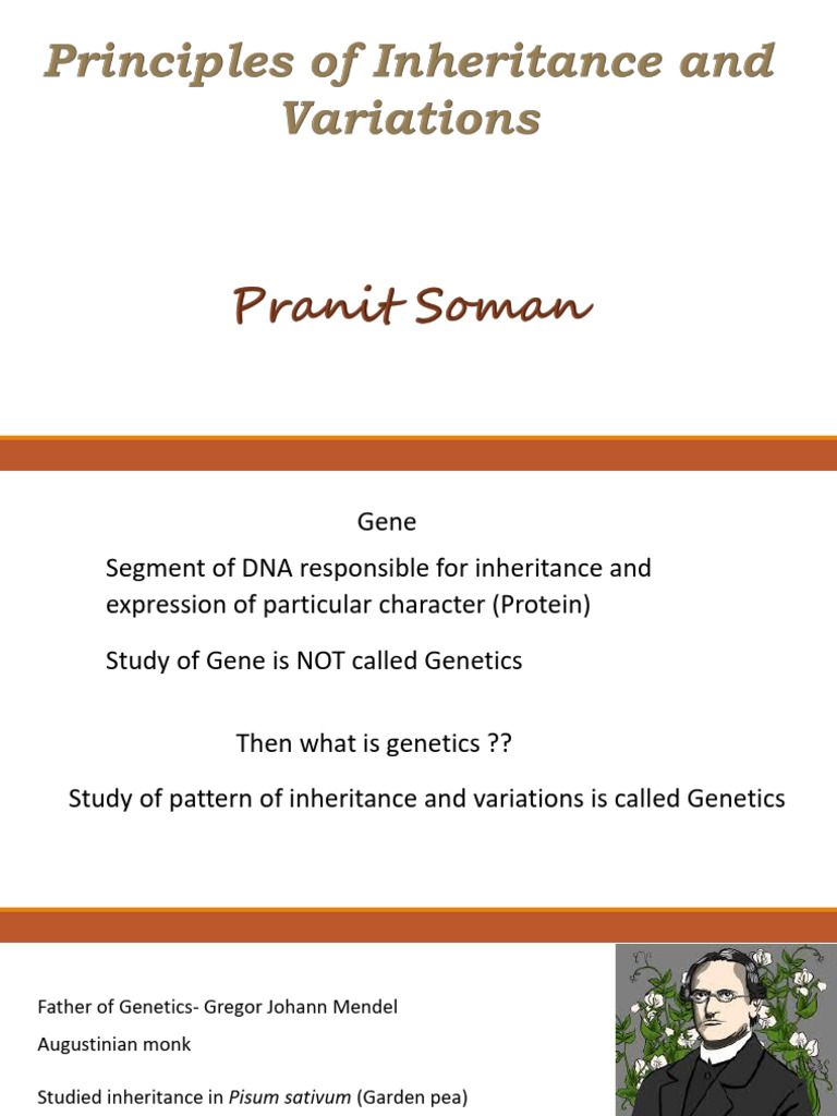 Understanding Mendelian Genetics Concepts | PDF | Dominance (Genetics ...