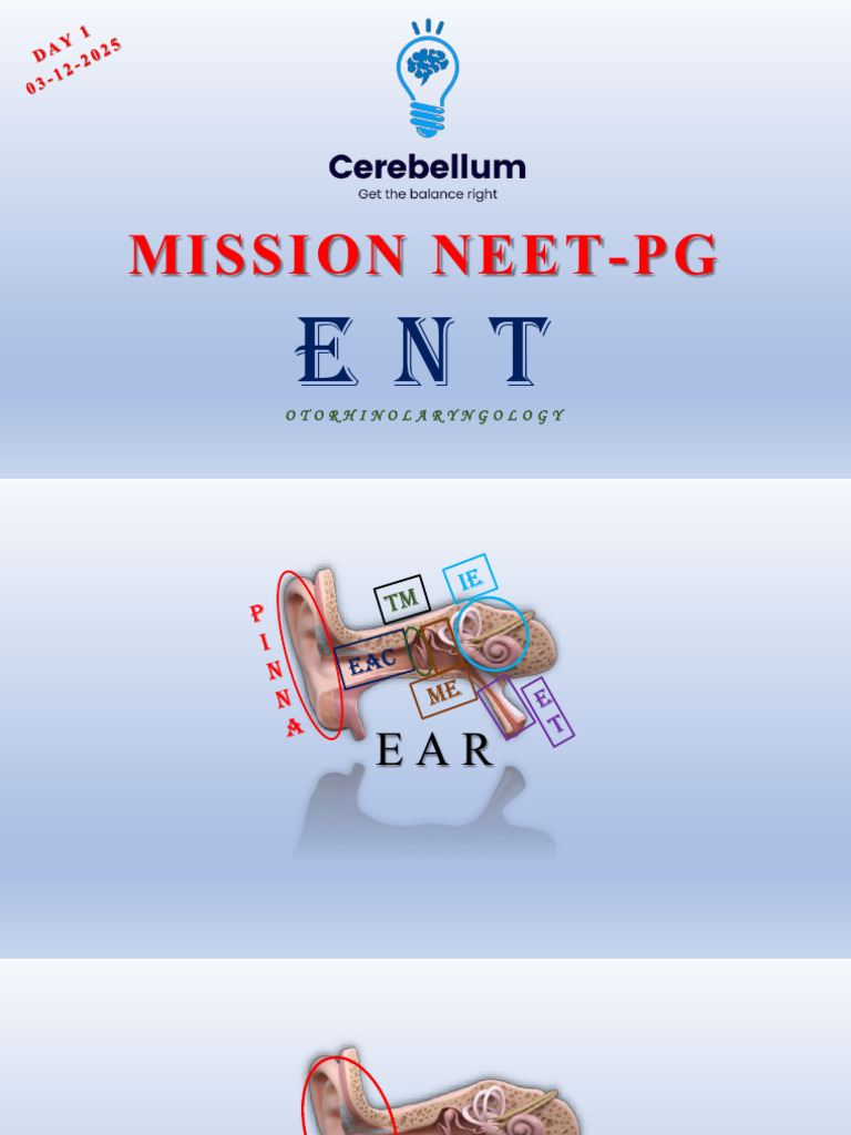 ENT Anatomy and Conditions Overview | PDF | Ear | Hearing Loss