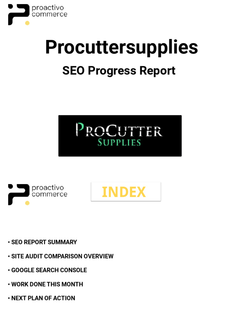 SEO Monthly Progress Report | PDF