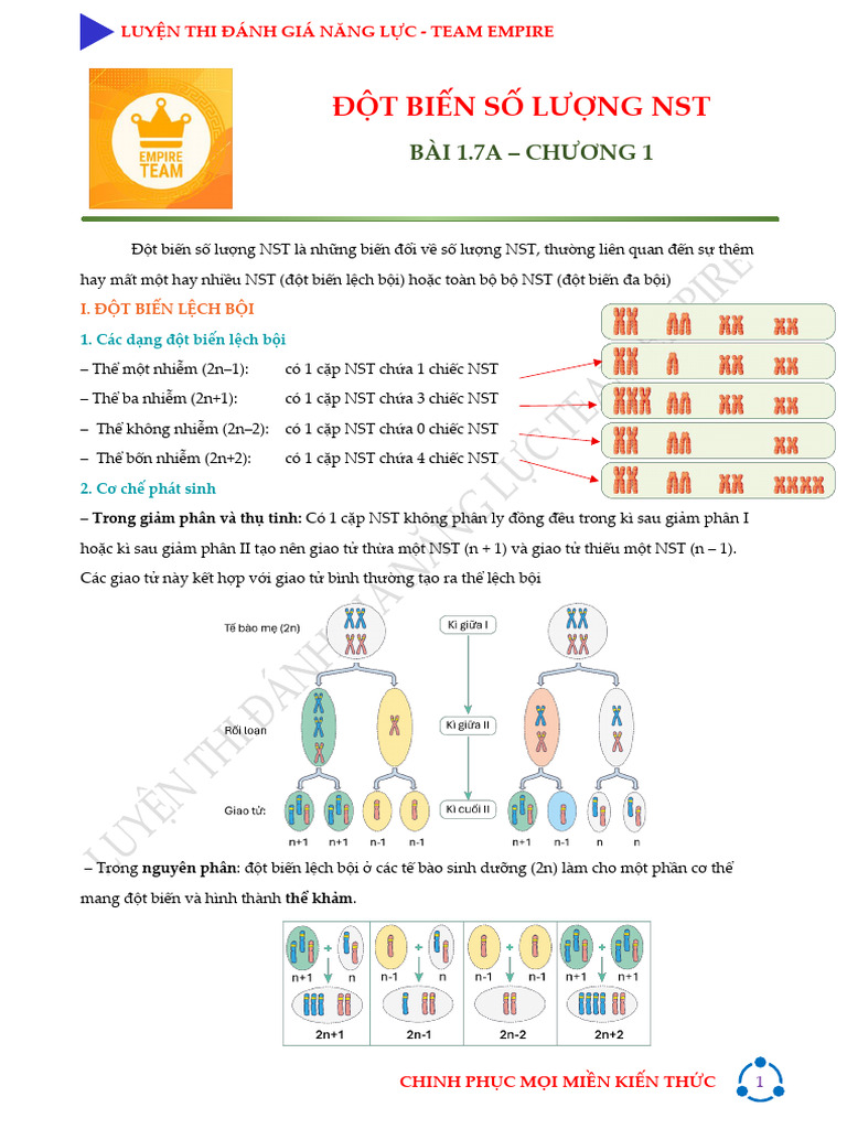 TBI NS L NG NST | PDF