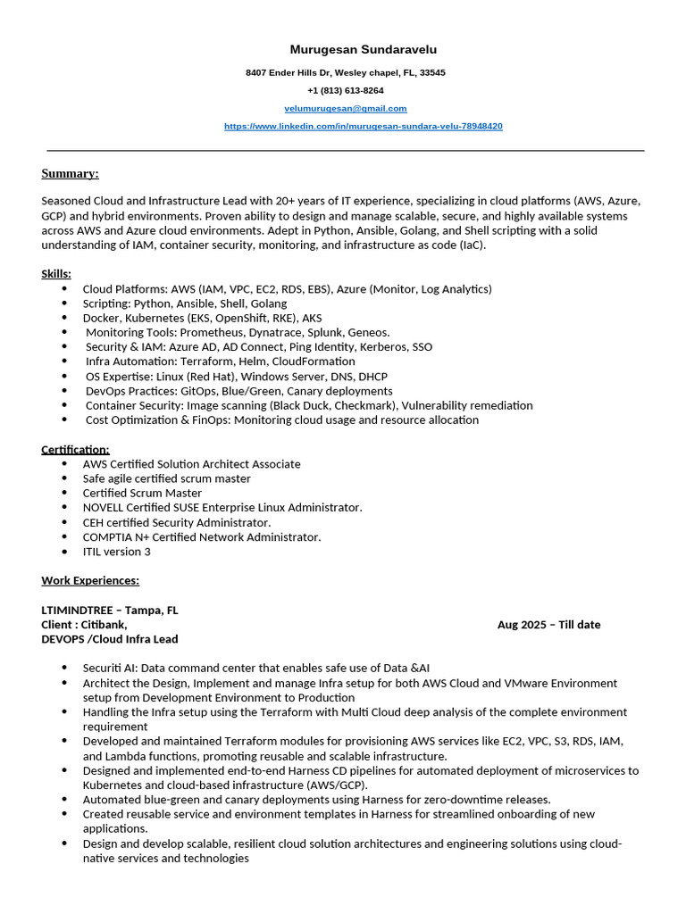 Cloud Infrastructure Lead Resume | PDF | Cloud Computing | Amazon Web ...
