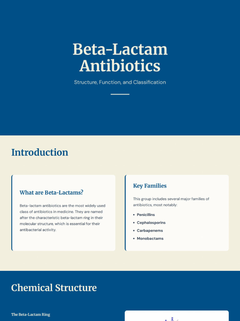 Beta Lactam Antibiotics | PDF
