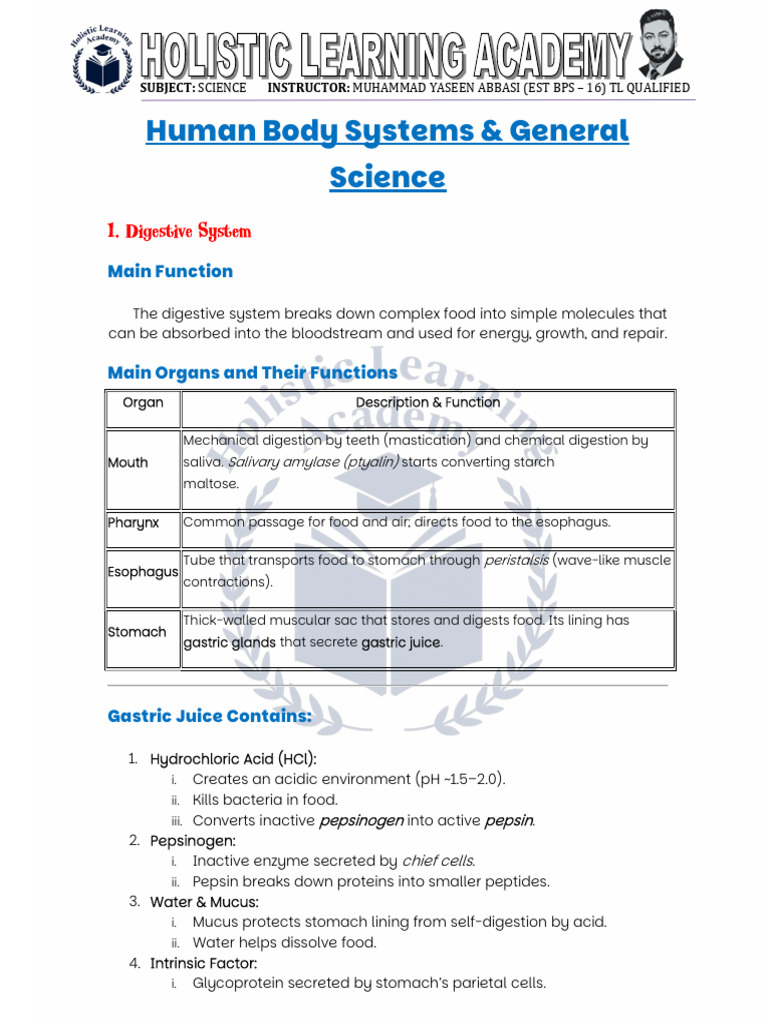 Human Body Systems & General Science | PDF | Stomach | Digestion